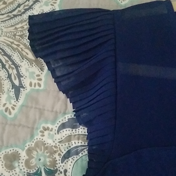 Express Navy Sheer Pleated Blouse - Picture 3 of 6